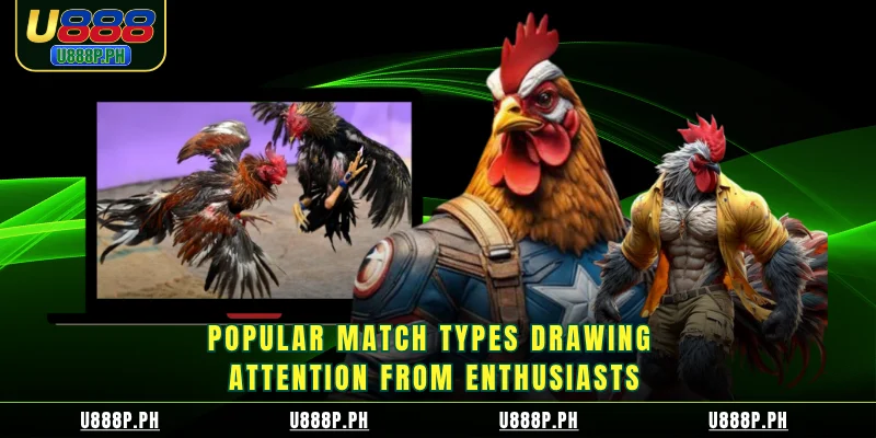 Popular match types drawing attention from enthusiasts