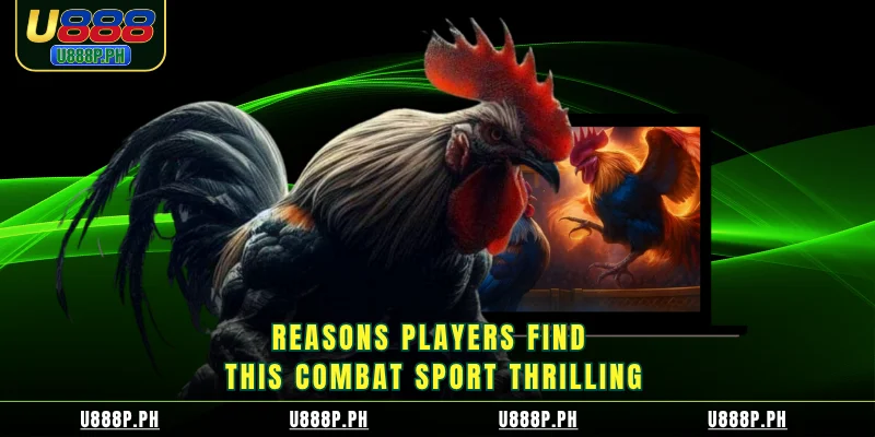 Reasons players find this combat sport thrilling