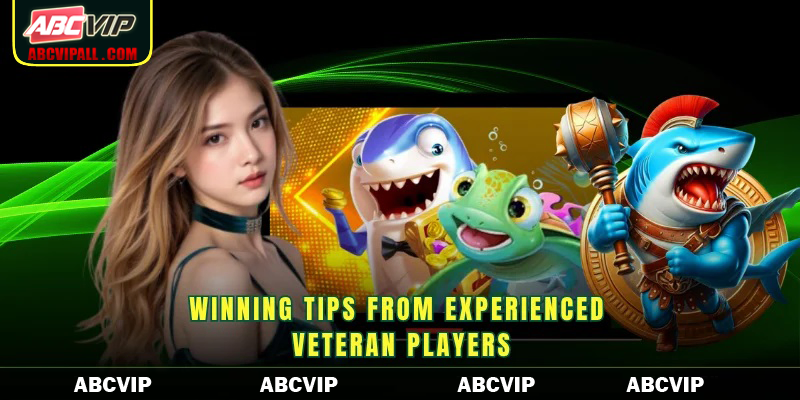 Winning tips from experienced veteran players