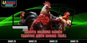 Araneta coliseum sabong tradition meets modern thrill