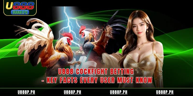 U888 Cockfight Betting – Key Facts Every User Must Know